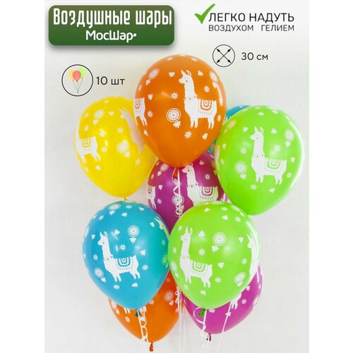 ������ ������ ����� ��������� ����� �� ���� ��������, ���� � ��������, 10 �� ����