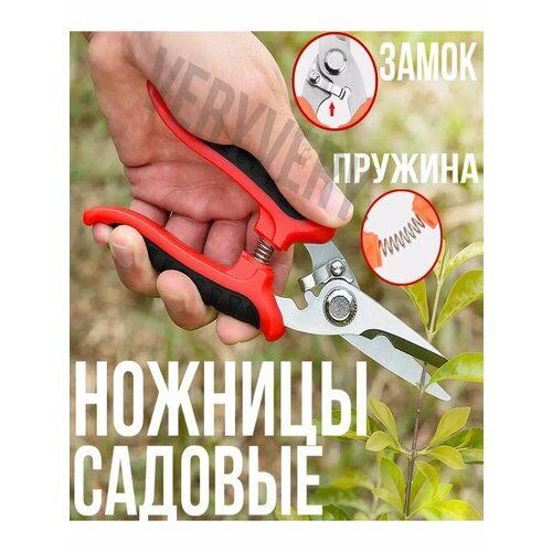 ������ ������ ������� ������� ������� ��� ������ � ������ ����