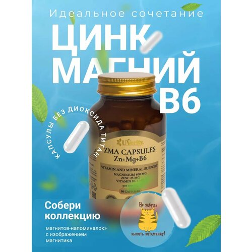 ������ ������ ��� UVerity ZMA, ������, ����, ������� B6 ����