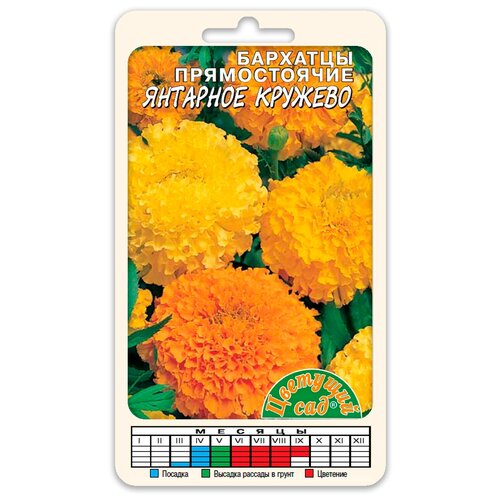 ������ ������ ������ �������� ��� 