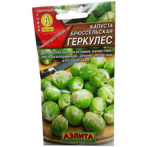 ������ ������ ������� ������������ �������� ����