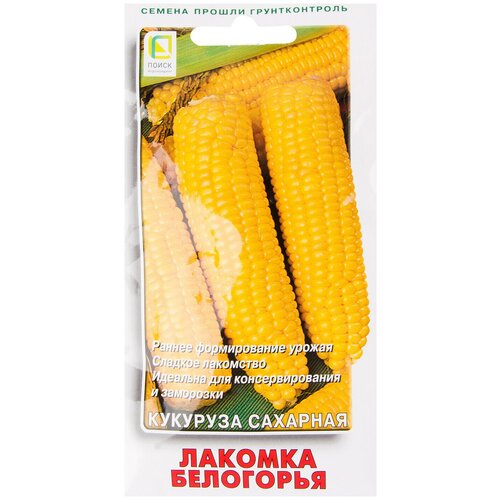 ������ ������ ������ �������� ������� ��������� ����