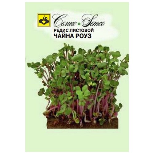 ������ ������ ������� ����������� 