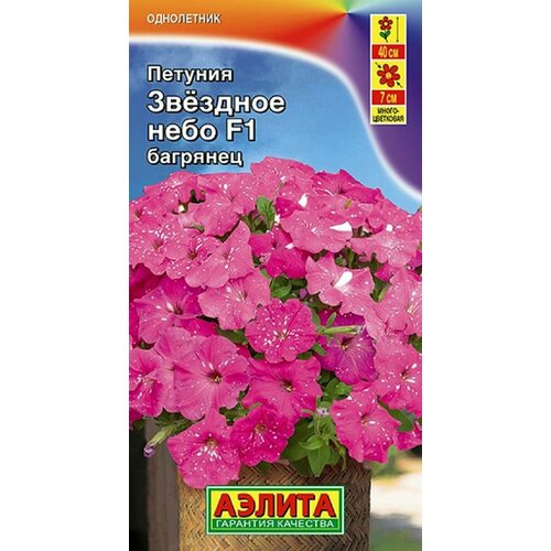 ������ ������ ������� �������� ���� F1 �������� ����