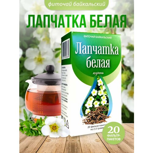 ������ ������ �������� ����� ������ 20 ������ ������� ������� ����