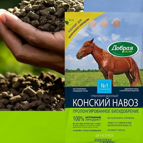 ������ ������ ��������� ������ ���� ������� �����, 2 �, 2000 �, 1 ��. ����