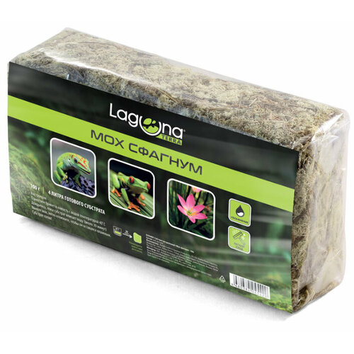 ������ ������ �������� Laguna ��� �������, 100 � ����