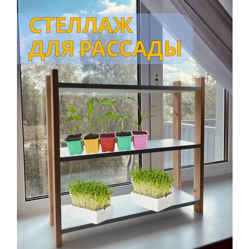 ������ ������ ���������� ������� ��� ������� �� ���������� ����