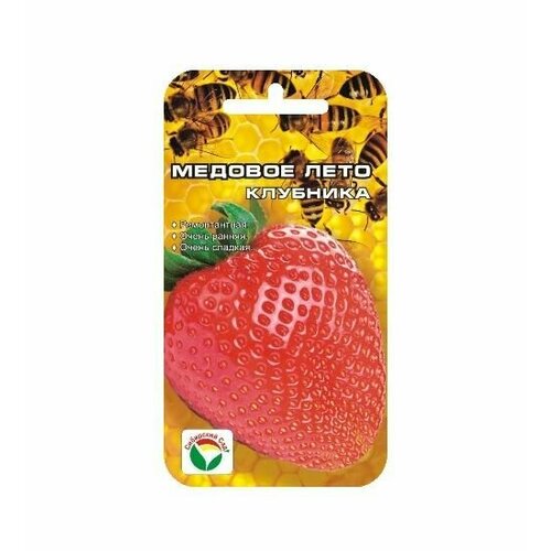 ������ ������ �������� ������� ���� (1 ��������-5�� �����) ����