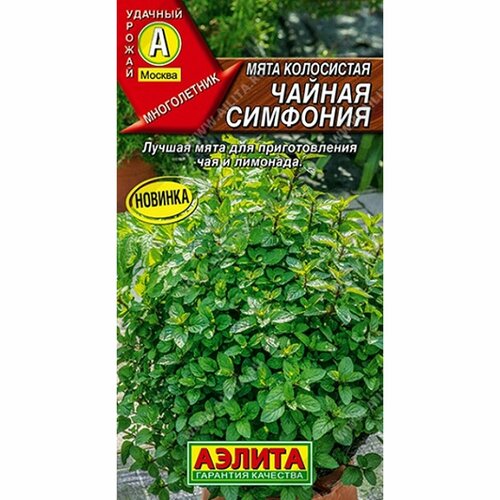 ������ ������ ������ ���� ������ �������� ���������� (������) 0,05� ����