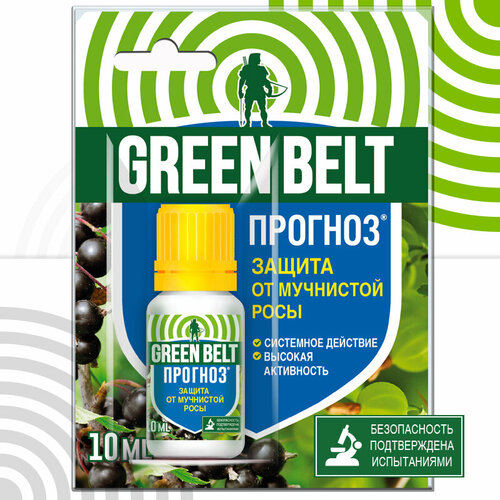 ������ ������ ����������� �������� �� ��������� ���� 