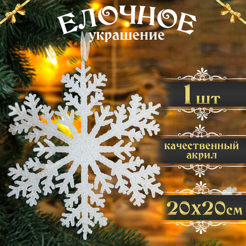 ������ ������ ������� �� ���� �������� 1��, 20�20�� ����