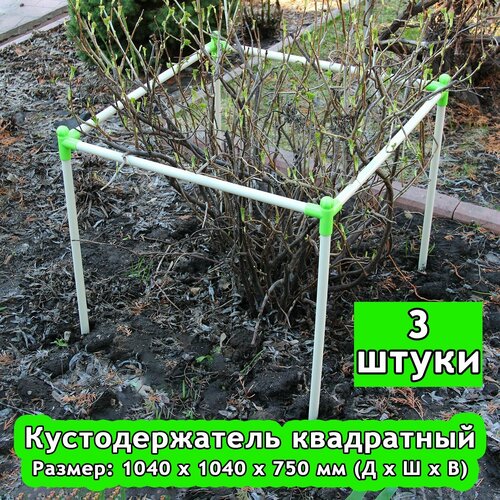 ������ ������ �������������� 