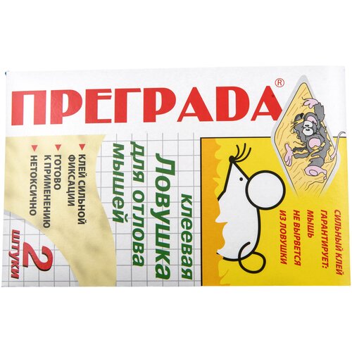 ������ ������ �������� ������� ������� ��� ������ ����� 2 ��/�� ����