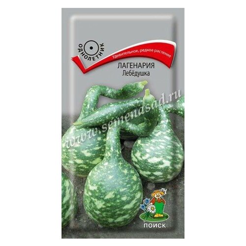 ������ ������ ��������� �������� 1��. (�����) ����