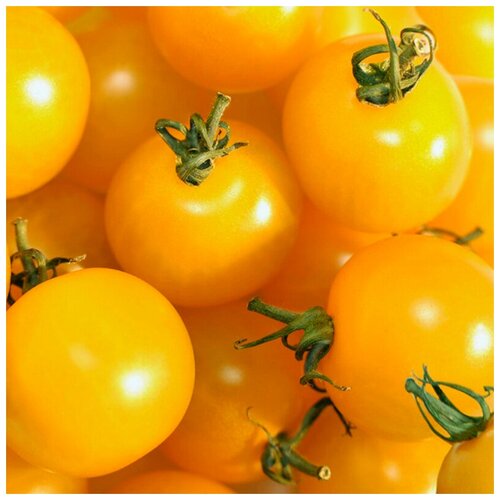 ������ ������ ������ ������ ����� ���� ����� ��� ����� 10 ��. ����