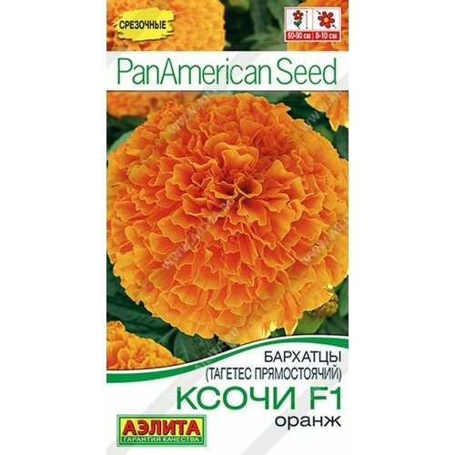 ������ ������ �������� ����� F1 ����� ����