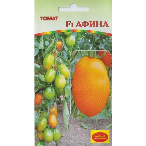 ������ ������ ������ ����� ����� F1 10�� ����� (�����) ����