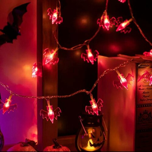 ������ ������ �������� ������� ���� �� �������� ����