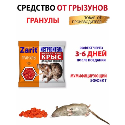 ������ ������ �������� �� ���� � ����� ������� ����������� ������� 100� ����� ����