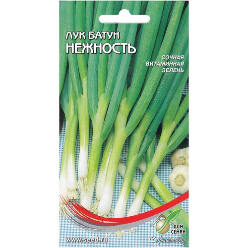 ������ ������ ��� ����� ��������, 200 ����� ����