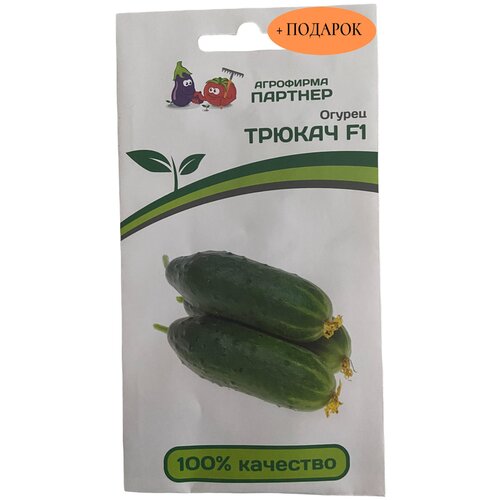 ������ ������ ������ ������ ������ F1 (5��) ����