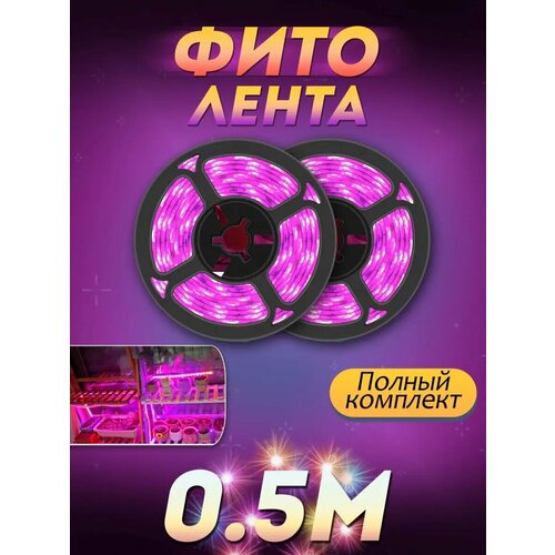 ������ ������ ������������ ����� ��� ������� ����