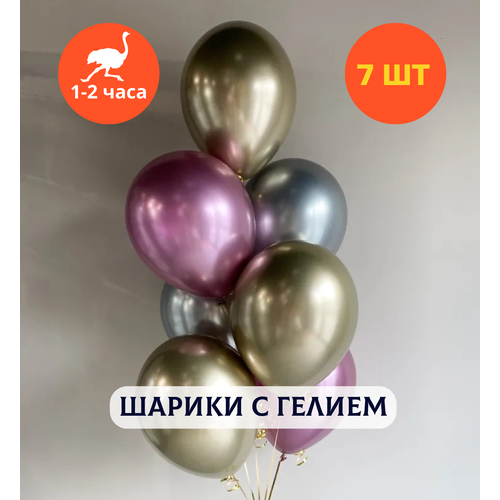 ������ ������ ������ ��������� �� ���� ��������, ��������� ���� � ������, ���� � ���� ��������, ����� ����� ��� ������� 