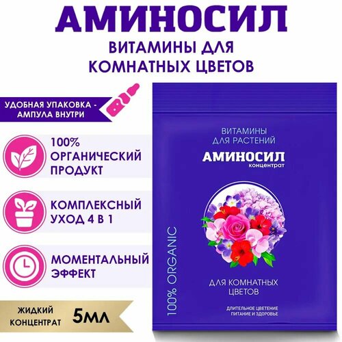 ������ ������ �������� ��� ��������� ������ ������ 5 ��. ����