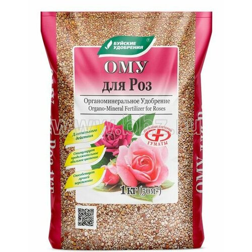 ������ ������ ��� ��� ��� 1 �� ����