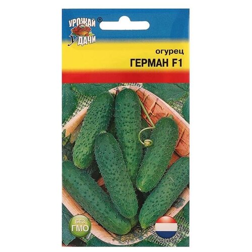 ������ ������ ������ ������ 