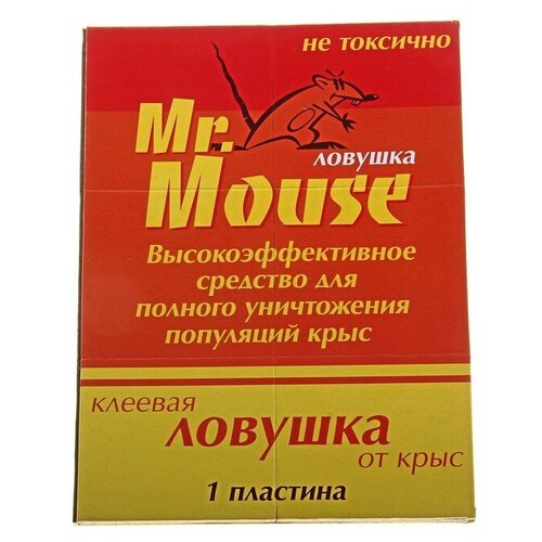    MR. MOUSE      /50./  : 2   -     , -,   