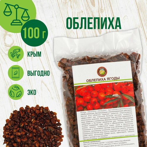 ������ ������ �������� ������� �����, 100� ����