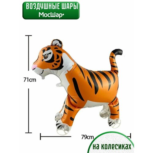 ������ ������ ��������� ��� ������� ������ ���� �� ��������� ����