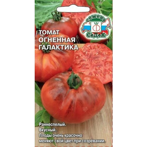 ������ ������ ����� �������� ��������� (3 ��������), ������ ����