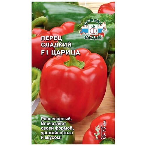 ������ ������ ����� ������� F1 ������ ����