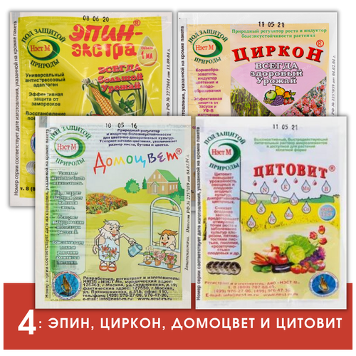 ������ ������ ����-� ����� ��������� ����, ������, ��������, ������� ����