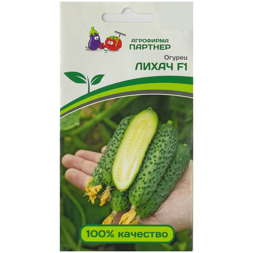 ������ ������ ������ ������ 