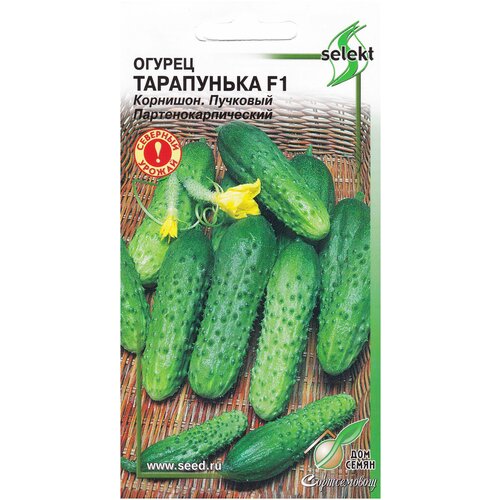 ������ ������ ������ ���������� F1, 6 ����� ����