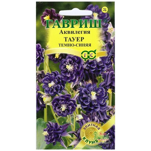 ������ ������ ������, ��������� ����� �����-�����, ������������, ����� ������� ������ 10 ����� ����