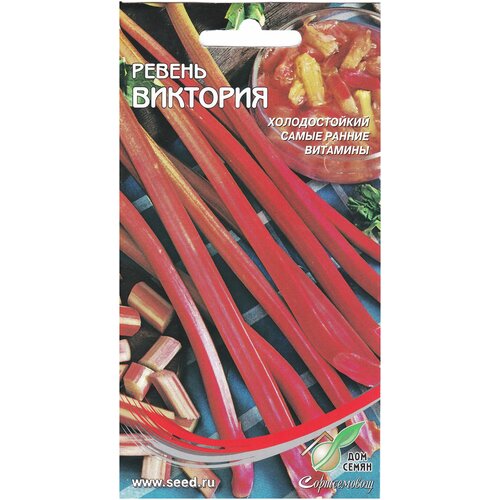 ������ ������ ������ ��������, 15 ����� ����