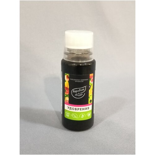 ������ ������ ��������� �������-���, ����� �, ������, 100 �� ������ ����