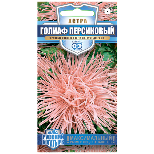 ������ ������ ������. ����� ���������� ������-�������� 