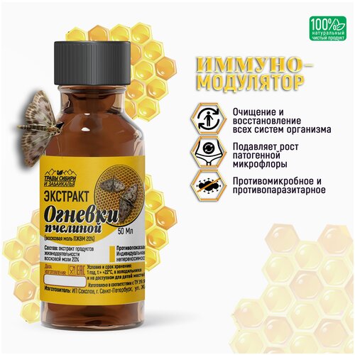 ������ ������ ������� �������� ����