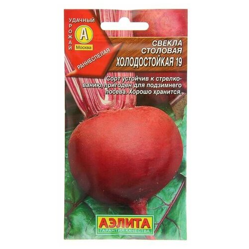 ������ ������ ������ ������������� 19 3� ������ ����