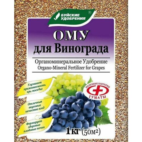 ������ ������ ��� ��� ���������, 1�� ����