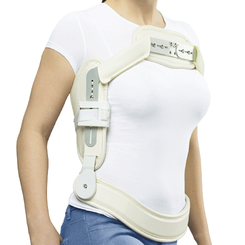 ������ ������ ������ ������������������ Orto PWA 804 (L-XL) ����