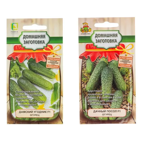 ������ ������ ����� ����� ������� ����� 