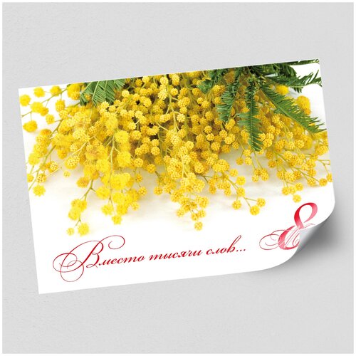 ������ ������ ����������/������ �������������� �� 8 �����, ������ �-2 (60x42 ��.) ����