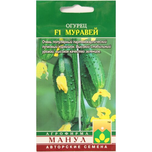 ������ ������ ������ ������ �������� F1 ����